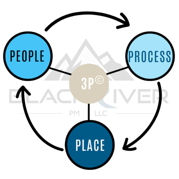 Our Models & Motivation Frameworks | Black River Performance Management