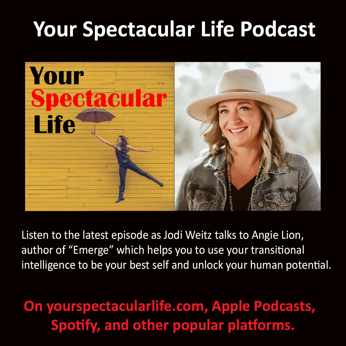 Your Spectacular Life with Angie Lion